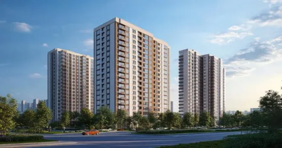 CCI Projects